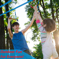 Monkey Bars (2 pack)