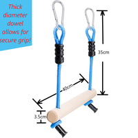 Monkey Bars (2 pack)