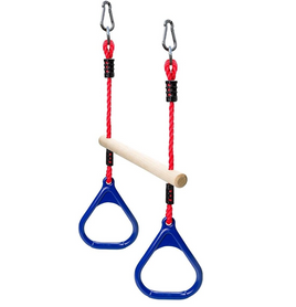 Monkey Bar with Gym Rings attached